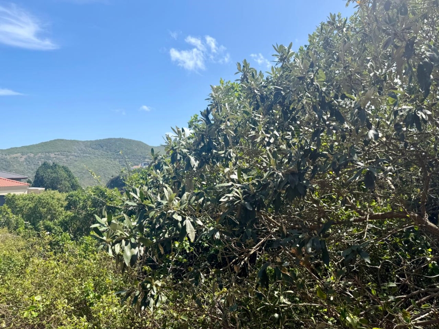 Commercial Property for Sale in The Heads Western Cape